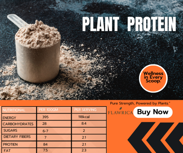 Plant Based Protien(Chocolate Blend)